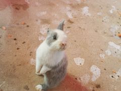-杭州野生动物世界