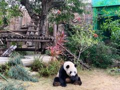 -灵玲国际马戏城