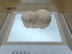 -信阳博物馆