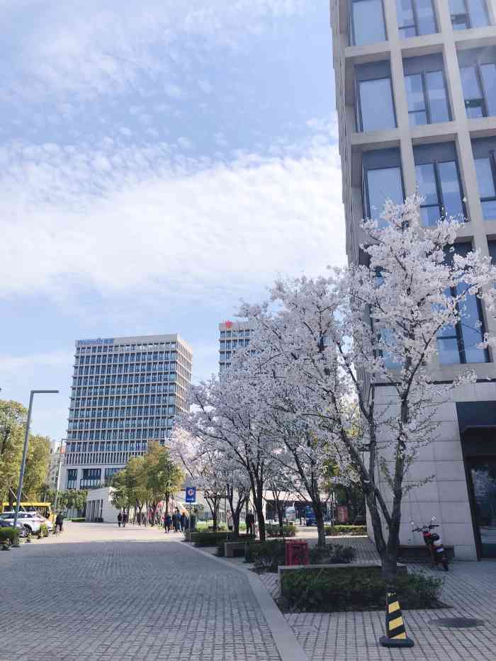 微盟大厦-"上次拍的时候是夏天,这次来个冬天的对比一.