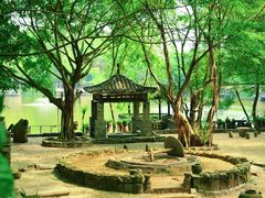 -美丽南方·老木棉匠园·团建烧烤·烤全羊