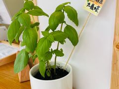 -呷贺盐酥鸡(抄纸巷店)