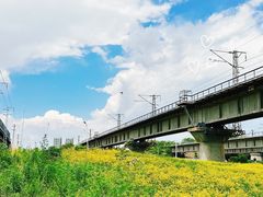 -长白岛森林公园