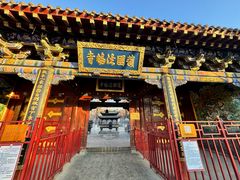 -护国法轮寺