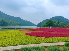 -广州市石门国家森林公园