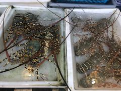 -拉威海鲜市场