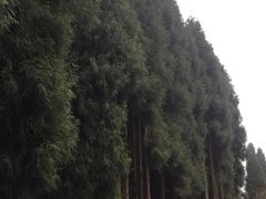 -九峰山