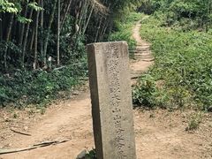 -东明山森林公园