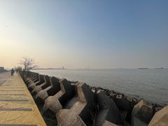 -上海滨江森林公园