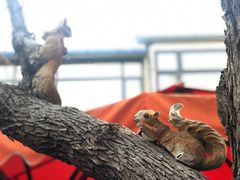 -天津大学·四十二斋餐厅