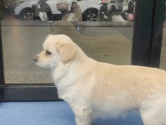 -博特宠物医院24h犬猫全科.骨科·异宠