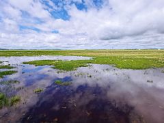 -花湖生态旅游区