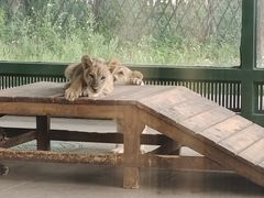 -秦皇岛野生动物园