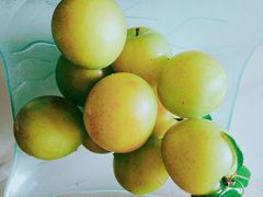 -呼吸森林·生态农庄农家乐私房菜