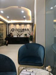 -DEM缔怡美科技美容