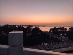 -宝安西湾红树林湿地公园