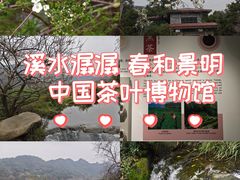 -中国茶叶博物馆(双峰馆区)