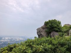 -圌山