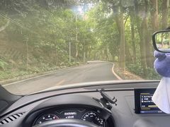 -火炉山森林公园