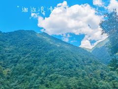 -大奇山国家森林公园