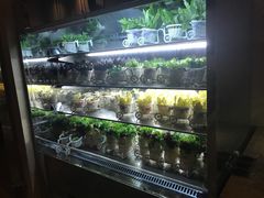 -雍和会海鲜姿造自助(湖东路店)