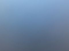 -巢爷老味(东方红店)