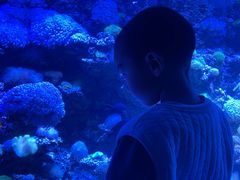 -太平洋海底世界