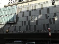 -新加坡乌节希尔顿酒店 (SG Clean)