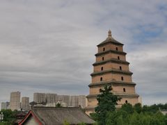 -德发长·花式蒸饺(大唐不夜城店)