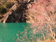 -叠溪松坪沟景区