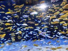 -成都浩海立方海洋公园