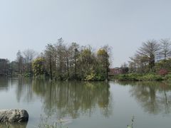 -海珠湖公园