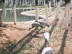 -艾溪湖湿地公园