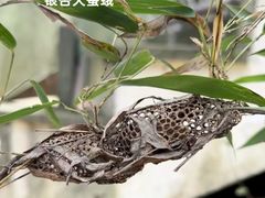 -黄公望隐居地