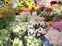 -双季花艺园艺市场(浦东店)