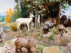 -陕西自然博物馆