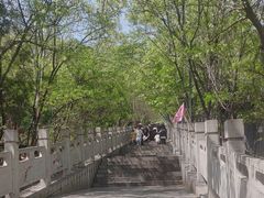 -抱犊寨风景区