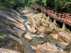 -广州白江湖森林公园