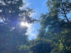 -北京西山国家森林公园