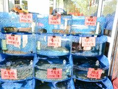 -北戴河庆山饭店·海鲜砂锅粥(北戴河黑石路店)