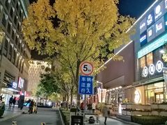 -中粮·祥云小镇