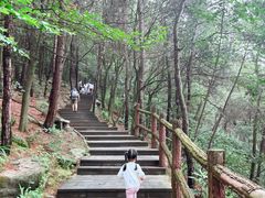 -铁山坪森林公园