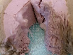 -喜茶(上海打浦桥日月光gelato lab+店)