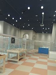 -奈尔宝·儿童乐园·亲子餐厅(华采天地店)