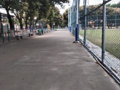 -碧江民乐公园