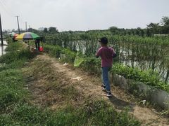-梁鸿国家湿地公园