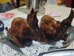 -石岐乳鸽村(南海第三分店)
