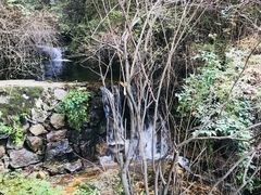 -王顺山国家森林公园