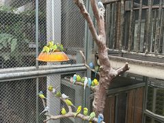 -正佳雨林生态植物园
