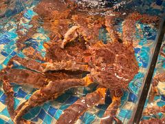 -映像威海·威海宴(威高广场店)